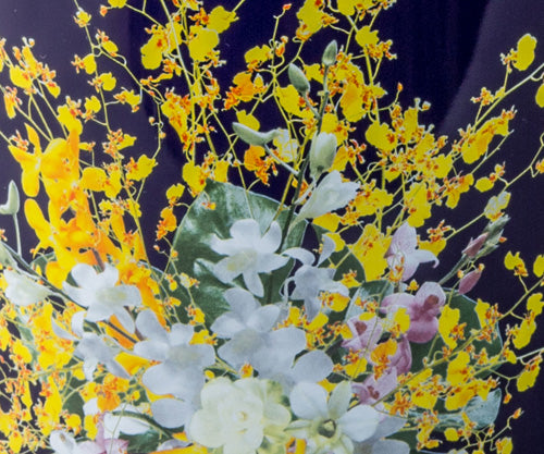 假屋崎省吾プロデュース 骨壷・桐箱・骨覆セット 【群雀蘭(ぐんじゃくらん)】6寸/7寸