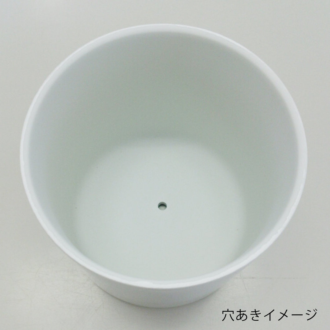 骨壷 瀬戸焼 大樹(だいじゅ)5寸/6寸/7寸