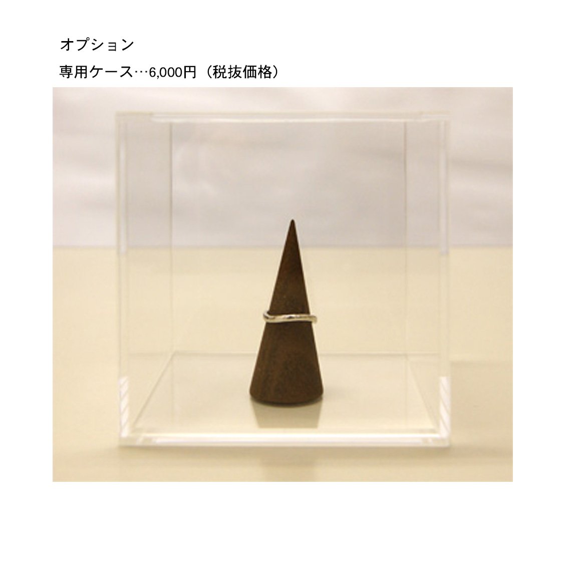 遺骨密封リング(樹脂密封タイプ) エレガントラインリングJR013 プラチナリング 完全防水