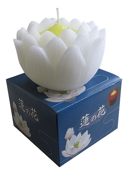 ろうそく 蓮の花