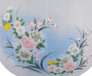 京提灯山吹 2号尺一牡丹(1台)