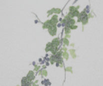 京行灯 月花 野葡萄(1台)