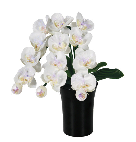 LEDで光る造花 ルミナス胡蝶蘭(1台)