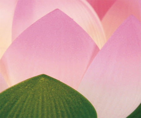 盆棚を飾る造花 蓮華一灯 青ボカシ(1対)