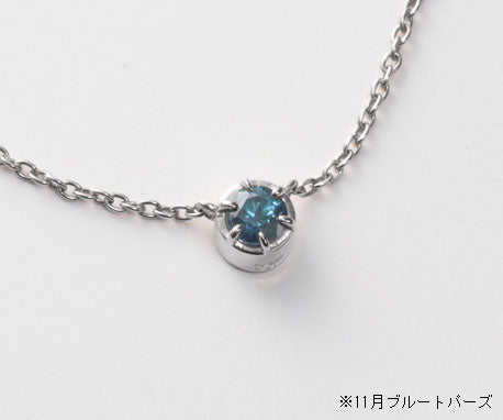 遺骨密封ペンダント(樹脂密封タイプ) BirthstoneS BP000 ホワイトゴールド 完全防水