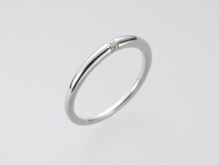 遺骨密封リング(樹脂密封タイプ) JR017 プラチナリング 完全防水