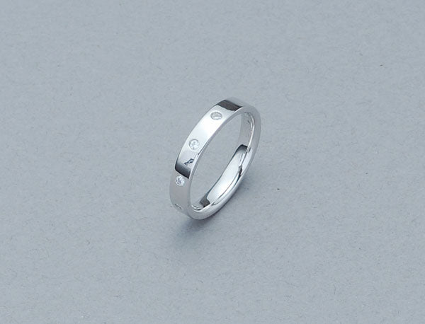 遺骨密封リング(樹脂密封タイプ) SR312 プラチナリング 完全防水