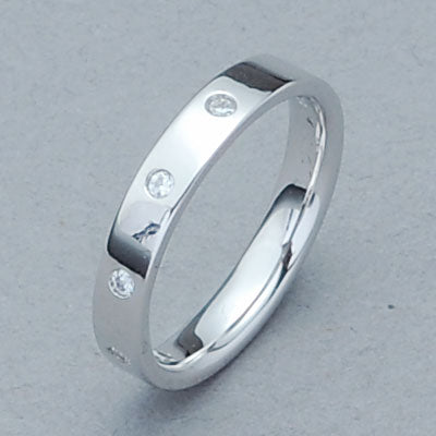 遺骨密封リング(樹脂密封タイプ) SR312 プラチナリング 完全防水