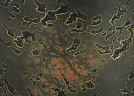 骨壷 加須美 4寸