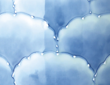 骨壷 有田焼 磁虚(じくう)大輪の花 4寸