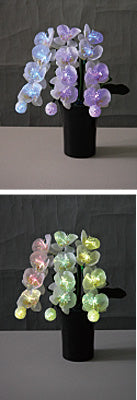 LEDで光る造花 ルミナス胡蝶蘭（1台）